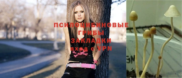 Альфа ПВП Беломорск