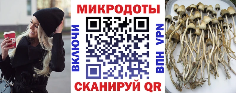 купить   Оха  Галлюциногенные грибы MAGIC MUSHROOMS 